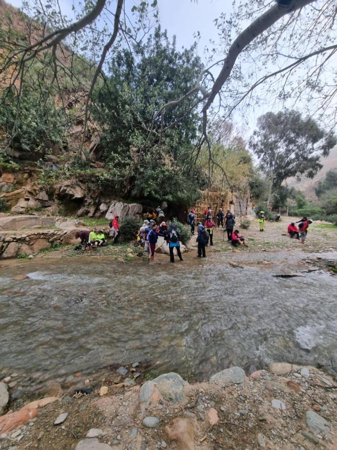 L'Oliveraie D'Amizmiz Εξωτερικό φωτογραφία